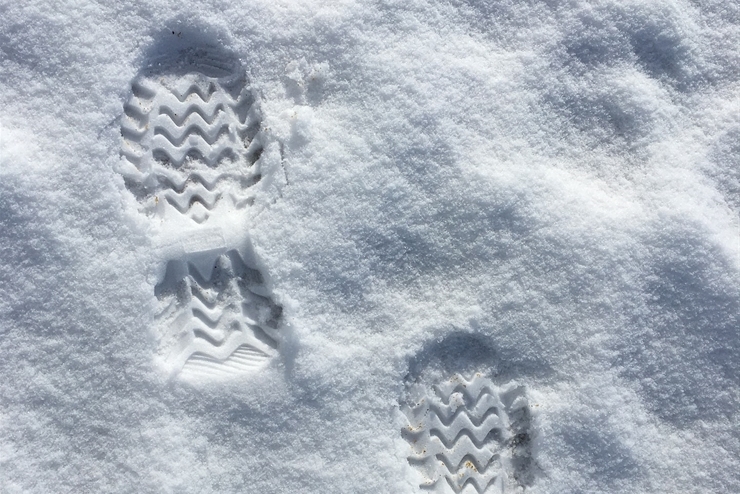 Footprints in the Snow: The Burgling of America