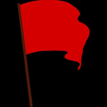 Red-Flagging Red-Flag Law Abuse