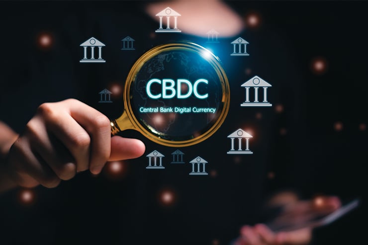 Central Bank Digital Currency, Crypto