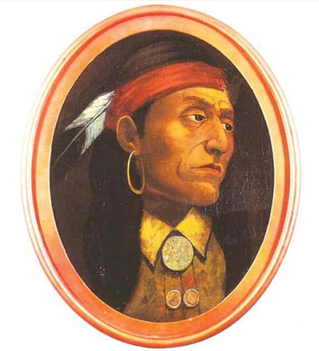 Tribal Sovereignty, Richard Nixon, American Indians, Native Americans