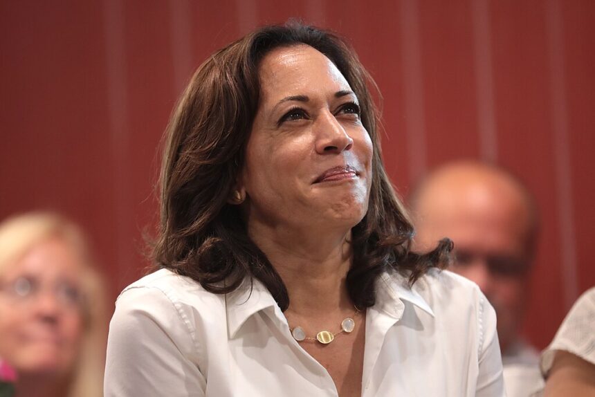 Attacking Kamala Harris as the DEI Candidate for President is Fair Game