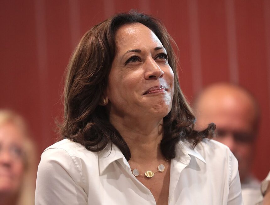 Attacking Kamala Harris as the DEI Candidate for President is Fair Game