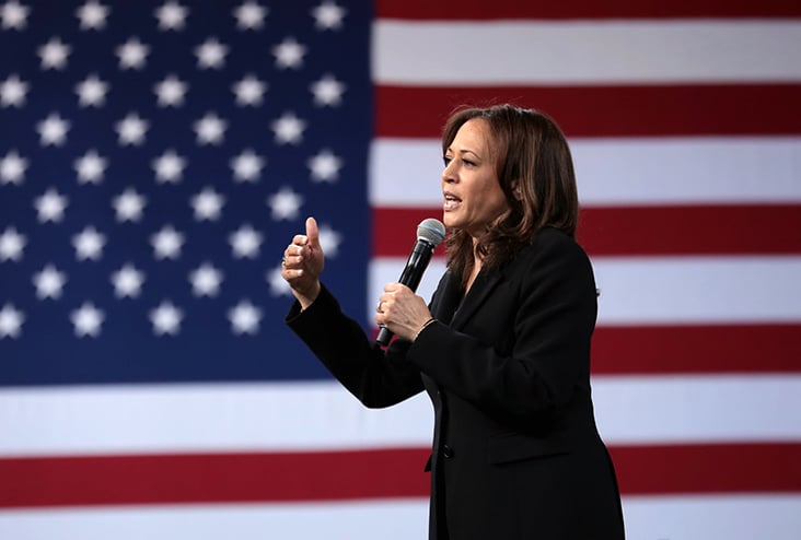 The Kamala Harris Hoax