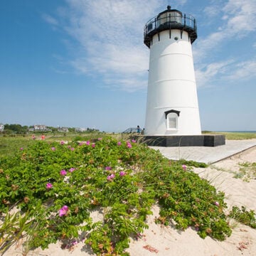 Biden-Harris Border Crisis Comes to Martha’s Vineyard and Nantucket