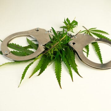 fighting drug addiction. illegal use and cultivation of marijuana. Illegal drugs. Dependence on smoking cannabis. department for combating drug trafficking Just Say No to More Marijuana