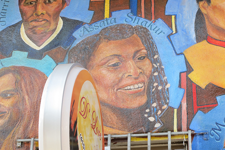 Assata Shakur and Other Parents of Political Violence