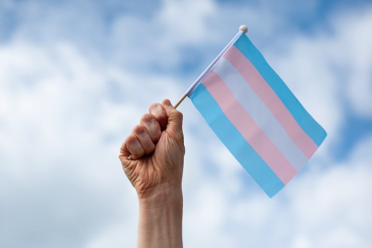 The Ongoing Transmaid’s Tale