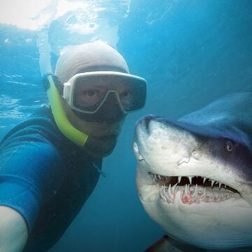 SELFIE Selfie Culture Lacks Self-Awareness
