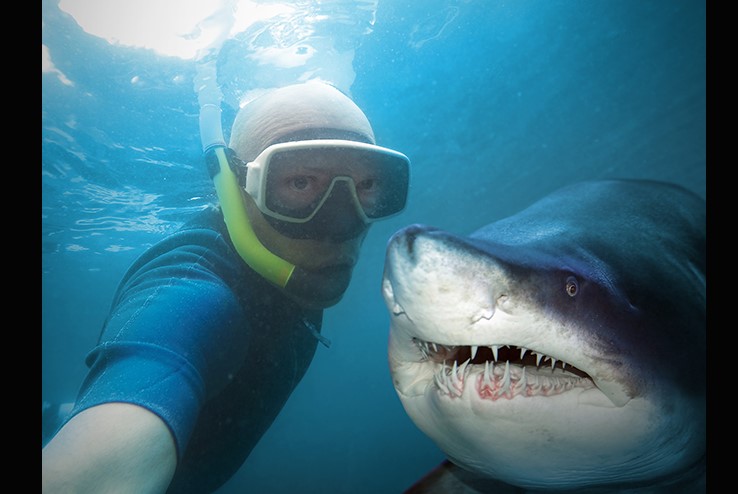 Selfie Culture Lacks Self-Awareness