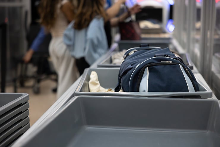 ICE Saves Lives—and Air Travel