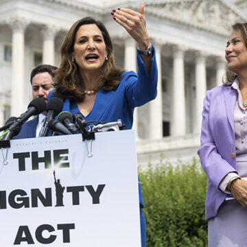 Immigration Amnesty by Any Other Name