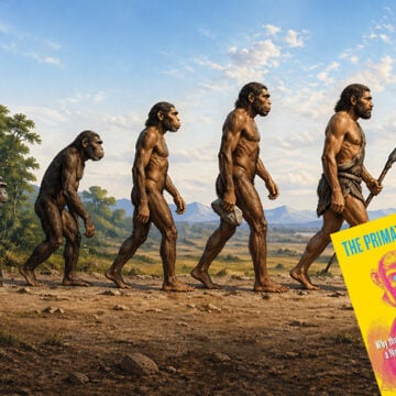 Chimpanzee Politics, Frans de Waal, Leonardo DiCaprio, Prince William, Sir David Attenborough, DNA, Peter Singer, Richard Dawkins, The Naked Ape, National Geographic, Almost Human, 2001: A Space Odyssey, King Kong, Tarzan, Planet of the Apes, Sapiens, Australopithecus, Neanderthal, David Greybeard, The Primate Myth, Tanzania,