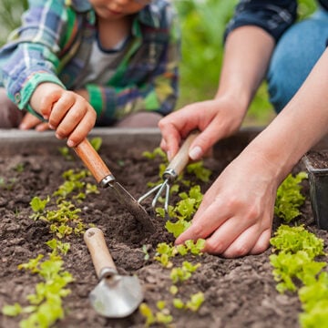 Child and mother gardening in vegetable garden in backyard Finding ‘Placedness’ in the Dirt of Our Own Backyards