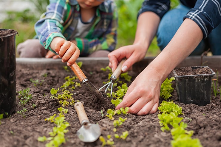 Finding ‘Placedness’ in the Dirt of Our Own Backyards