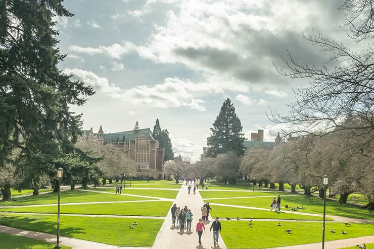 University of Washington, Seattle, Washington State, USA The Radical Left AAUP Beclowns Itself