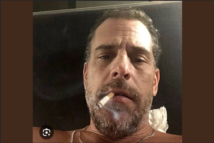 HUNTER Hunter Biden’s Self-Serving Self-Help Comeback